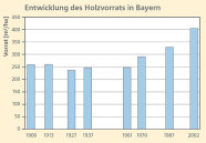 Das Säulendiagramm zeigt die Entwicklung des Holzvorrats in den Wäldern Bayerns.