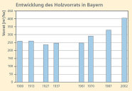Das Säulendiagramm zeigt die Entwicklung des Holzvorrats in den Wäldern Bayerns.