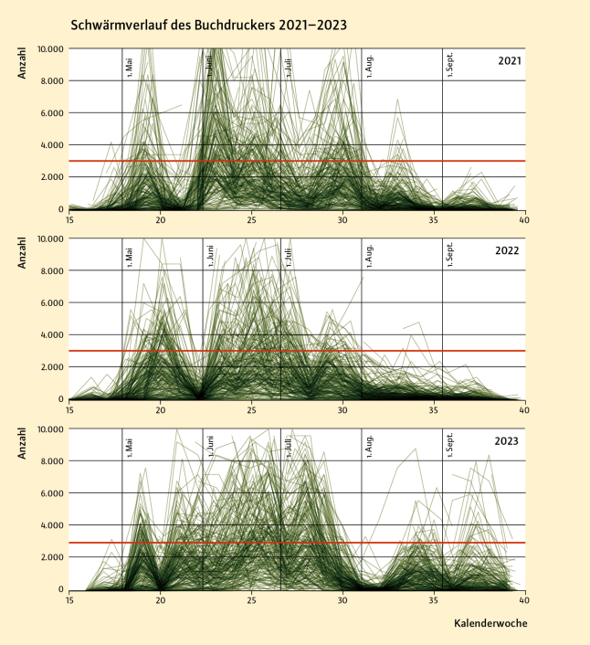 Grafische Darstellung des Jahresverlaufs und der Schwarmaktivität des Buchdruckers