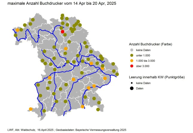 Bayernkarte zeigt die Buchdruckeranzahl in den Borkenkäferfallen bis zum 16.04.2025