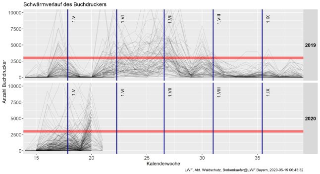 Schwärmkurven für Borkenkäfer in Liniengrafik.