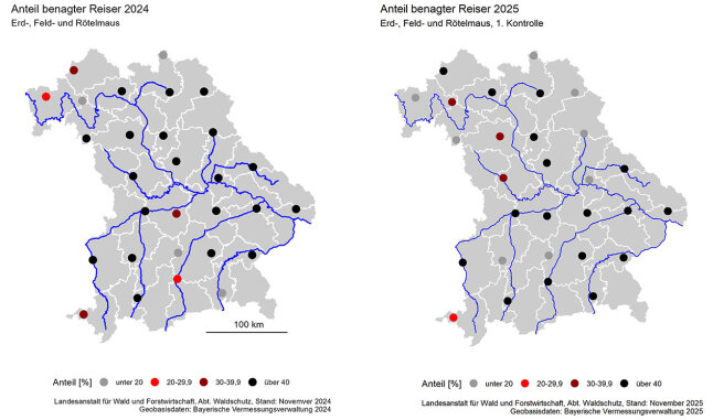 Bayernkarten zeigen den Anteil benagter Reiser auf den Probeflächen