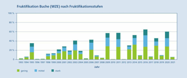 Balkdendiagramm zeig Fruktifikationsstufen von Buchen in der Zeitreihe von 1993 bis 2021