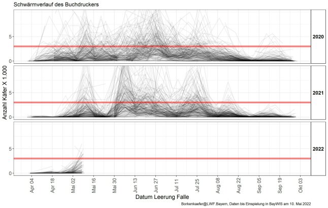 Grafik zeigt Schwärmverlauf des Buchdruckers von 2020 - 2022