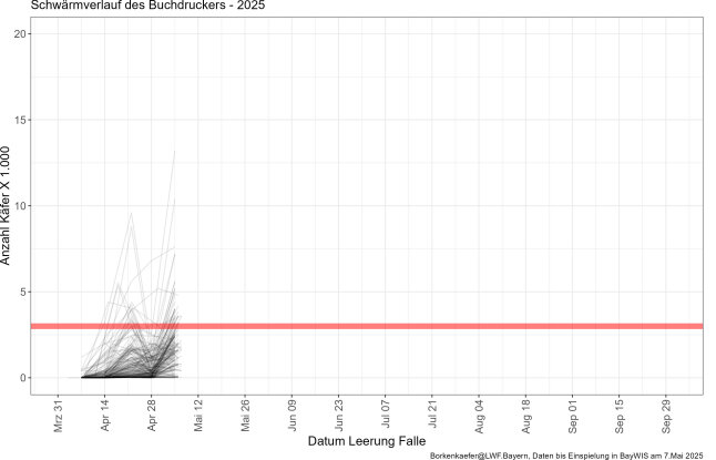 Kurve mit Schwärmverlauf des Buchdruckers 2025 bis Anfang April