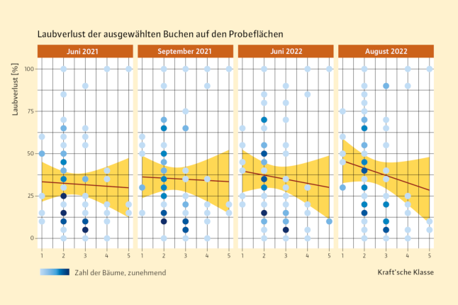 Laubverlust ausgewählter Buchen im Jahresvergleich Sommer 2021 mit Sommer 2022