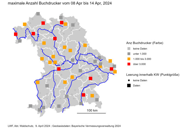 Bayernkarte zeigt maximale Anzahl Buchdrucker je Monitoringstandort am 9. April 2024