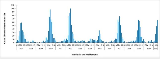 Balkendiagramm zu Hantavirus-Meldungen. Die x-Achse stellt die Jahre, die y-Achse die Zahl der Meldungen in Stück dar.