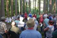 Menschenmenge steht im Wald und hört einen Vortrag eines Försters