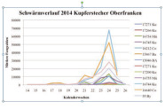 Schwärmkurven des Kupferstechers in Oberfranken im Frühjahr 2014