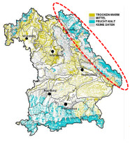 Das Überwachungsgebiet Fichtengespinstblattwespe reicht vom Oberpfälzer bis zum Bayerischen Wald über den ganzen Osten des Freistaats Bayern.