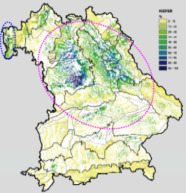 Karte der Überwachungsgebiete der Kiefernschädlinge im Freistaat Bayern.
