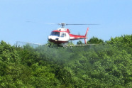 Ein Hubschrauber fliegt über einen Wald und bringt Pflanzenschutzmittel mittels einer Spritzvorrichtung aus.