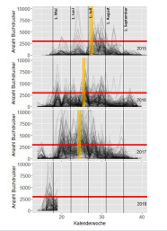 Verschiedene Liniendiagramme zur Schwärmangabe der Borkenkäfer