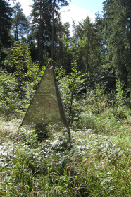 Auf einer Lichtung im Wald steht ein Alu-Dreibein-Gestell, das mit einem Netz bespannt ist.