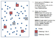 Grabungsschema der Fichtengespinstblattwespe