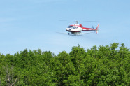 Hubschrauber fliegt über Waldgebiet