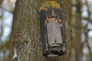 Ein Nistkasten an einem Baum