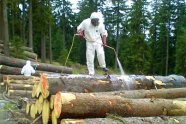Personen in Schutzkleidung besprüht einen Holzpolter