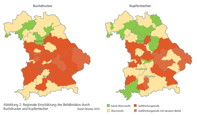 Politische Umrisskarten von Bayern zeigen die Befallssituation von Buchdrucker und Kupferstecher. Die Mitte Bayerns ist am stärksten von Borkenkäfern betroffen, wobei die Gefährdung durch den Buchdrucker höher ist.