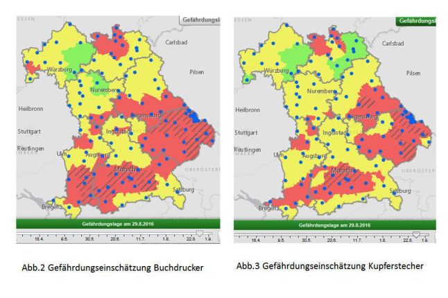 Zwei Karten von Bayern mit verschieden farbig markierten Flächen zur Gefährdungseinschätzung von Buchdrucker (links) und Kupferstecher (rechts) am 29.08.2016.