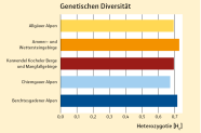 Balkendiagramm welches die Genetische Diversität von Gamspopulationen vergleicht.