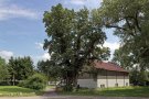 Eiche vor einem landwirtschaftlichen Gebäude