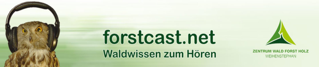Forstcast Logo