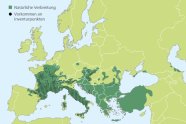 karte von Europa: Mittelmeerregion und Frankreich farblich hervorgehoben