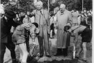 Theodor Heuss hält einen jungen Baum am Stamm, während ihn zwei Männer einpflanzen