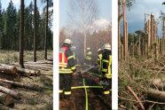 Totes Holz und die Feuerwehr