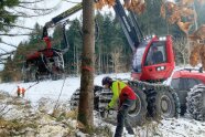 Harvester und Waldarbeiten fällen gemeinsam einem Baum