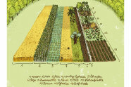 Zeichnung zeigt den Weltacker, unterteilt nach den wichtigsten Feldfrüchten