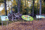 Station eines Lernpfades im Wald mit Tafeln