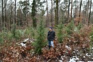 Revierleiter Gerhard Hofmann mit einem Lächeln im neu-bepflanzten Bereich