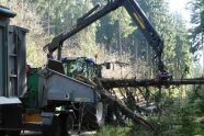 Greifarm schiebt einen Baum in einen Holzhäcksler