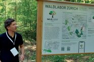 Dr. Martin Brüllhardt vor einer Infotafel zum Waldlabor Zürich