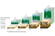 Balkendiagramm des Ausfalls im Verhältnis zur Gesamtwuchsleistung