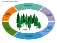 Das Diagramm zeigt die unterschiedlichen Anspruchsgruppen an den Wald.