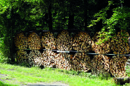 Brennholzstapellager