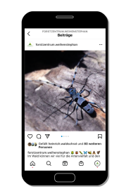 Handy mit geöffnetem Instagram darauf