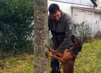 Ein Mann in Uniform der Forstverwaltung steht an einem Baum, neben ihm ein Hund