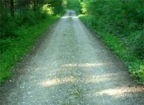 Feste Forststraße in einem Wald.