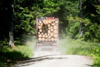 Holz-LKW voll mit Fichtenholz beladen fährt über einen Waldweg