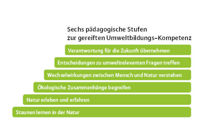 Sechs pädagogische Stufen zur gereiften Umweltbildungs-Kompetenz