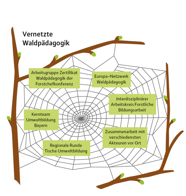 Bild der verschiedenen Ebenen im Waldpädagogischen Organisations- und Verwaltungsapparat
