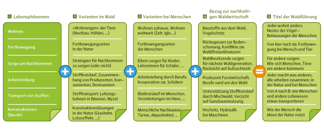 Baukastensystem zum erstellen einer Waldpädagogischen Lehreinheit