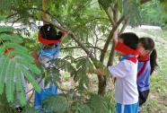 Schulkinder ertasten mit verbundenen Augen einen Baum.