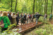 Gruppe Menschen steht im Mischwald; ein Mensch probiert eine Station im Wald aus, in der Fußstapfen, in die man treten kann, angebracht sind