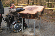 Mann im Rollstuhlert berührt vor ihm auf vier Metallfüßen aufgesetzte Baumscheibe.